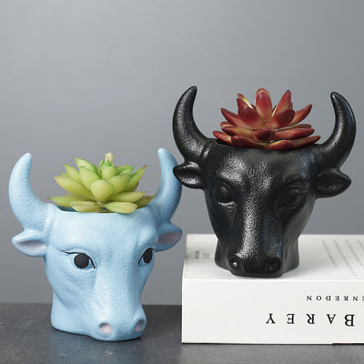 Simple Cartoon Succulent Flower Pot White Ceramic Pot