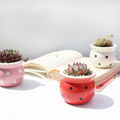 Succulent Flower Pot Ceramic Flower Pot Thumb Pot