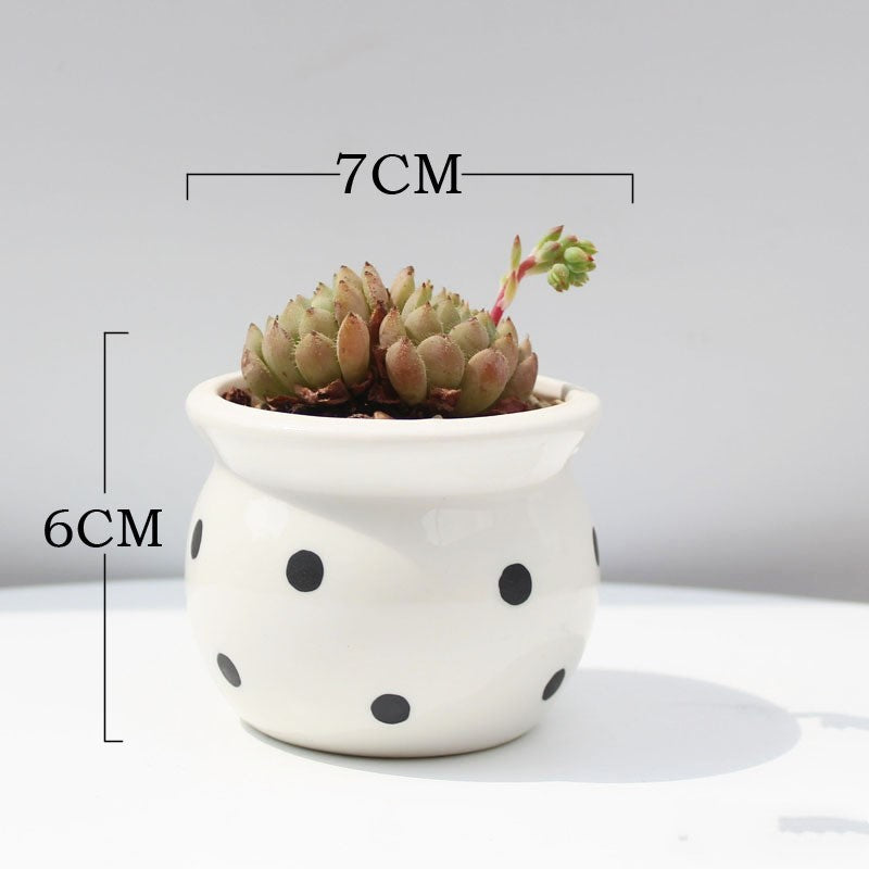 Succulent Flower Pot Ceramic Flower Pot Thumb Pot