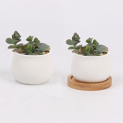 Ceramic flower pot