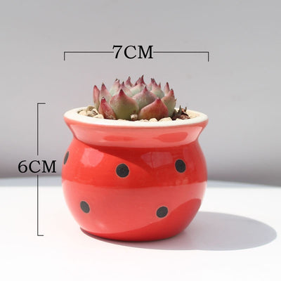 Succulent Flower Pot Ceramic Flower Pot Thumb Pot