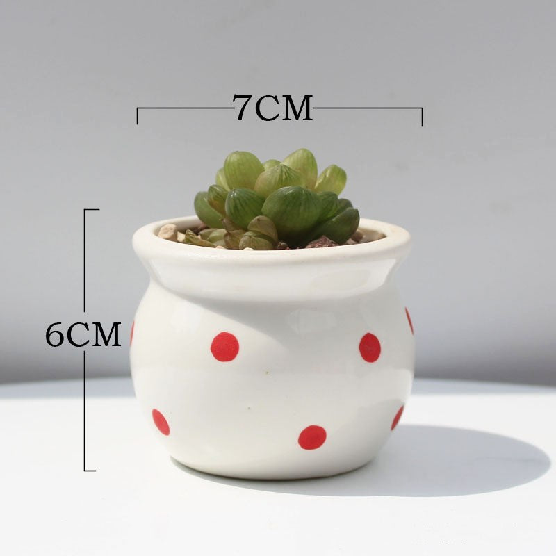 Succulent Flower Pot Ceramic Flower Pot Thumb Pot