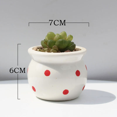 Succulent Flower Pot Ceramic Flower Pot Thumb Pot