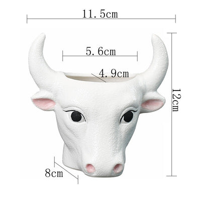 Simple Cartoon Succulent Flower Pot White Ceramic Pot