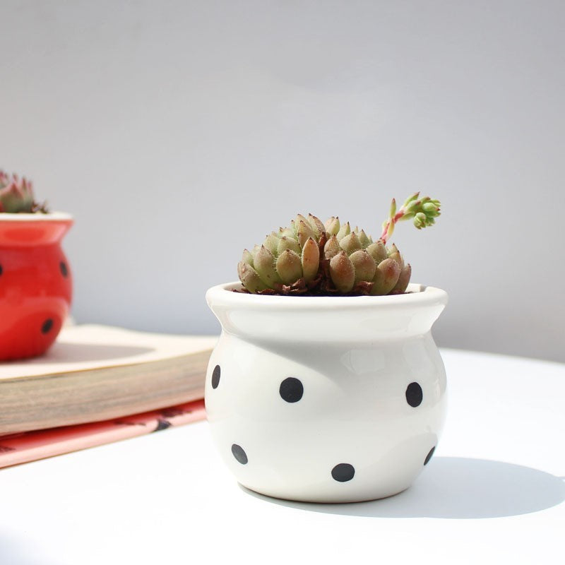 Succulent Flower Pot Ceramic Flower Pot Thumb Pot