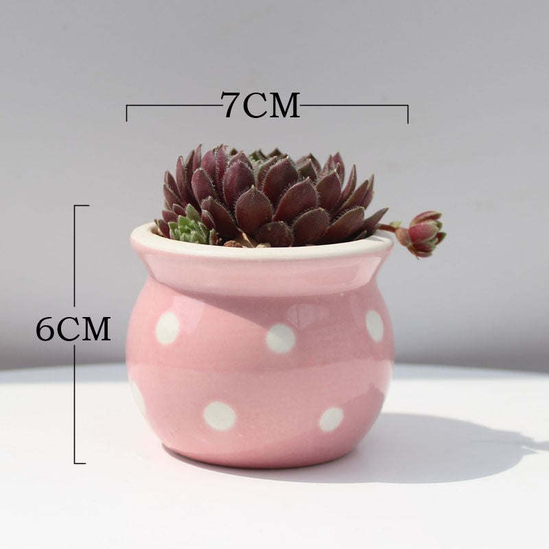 Succulent Flower Pot Ceramic Flower Pot Thumb Pot