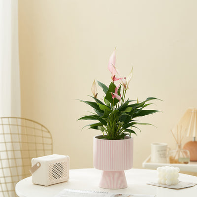 Ceramic Nordic Creative Striped Ceramic Flower Pot
